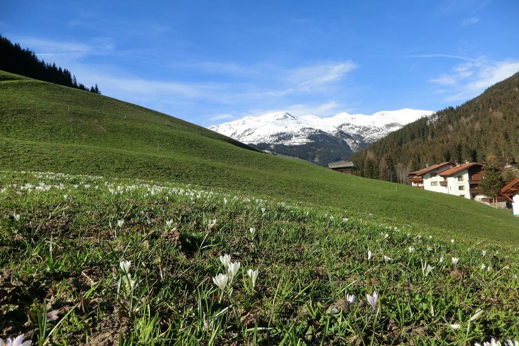 Ferienwohnung Alps Tux Exterior foto